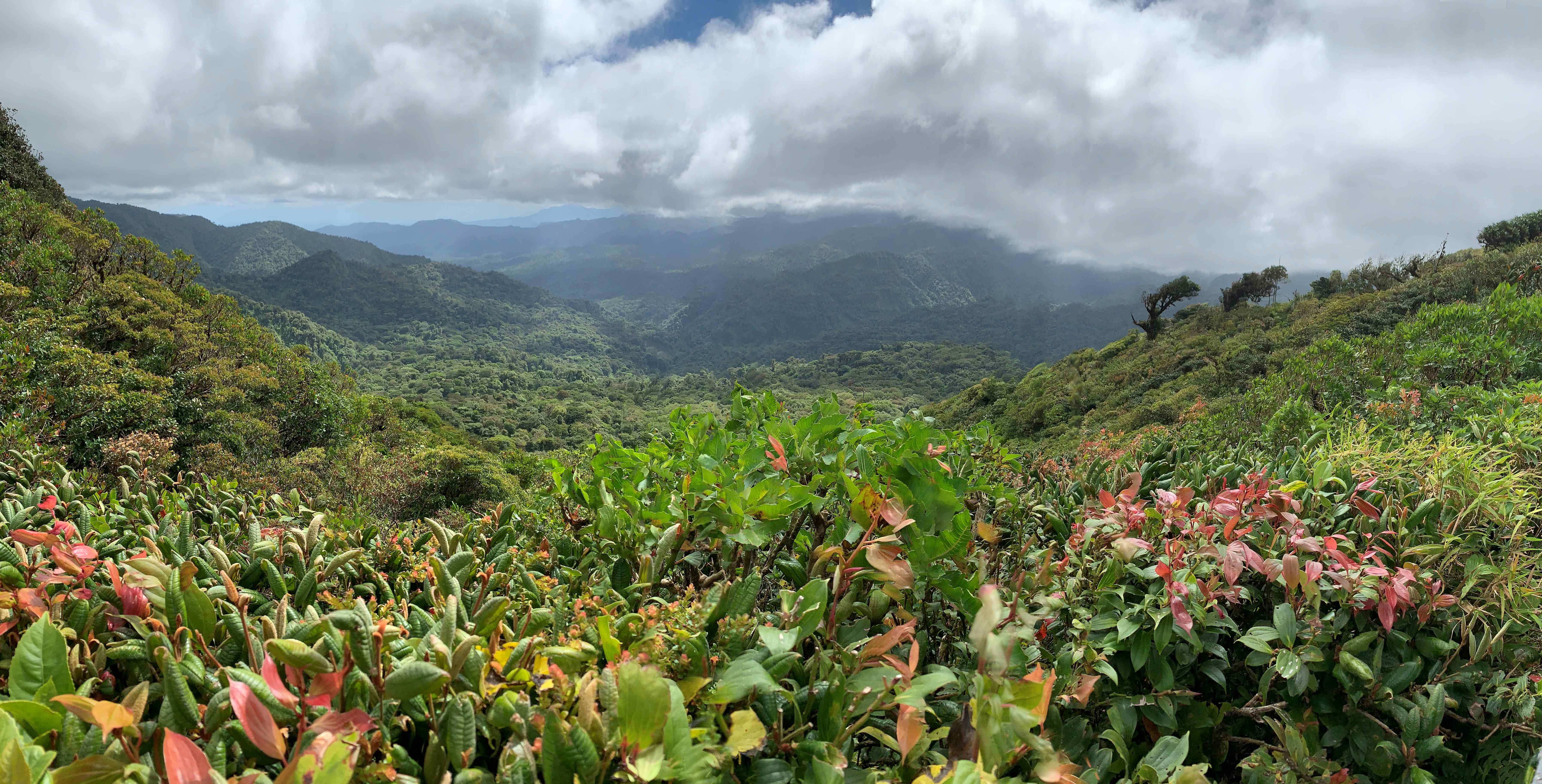 Costa Rica